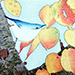 Inuki Tachihara Gallery
